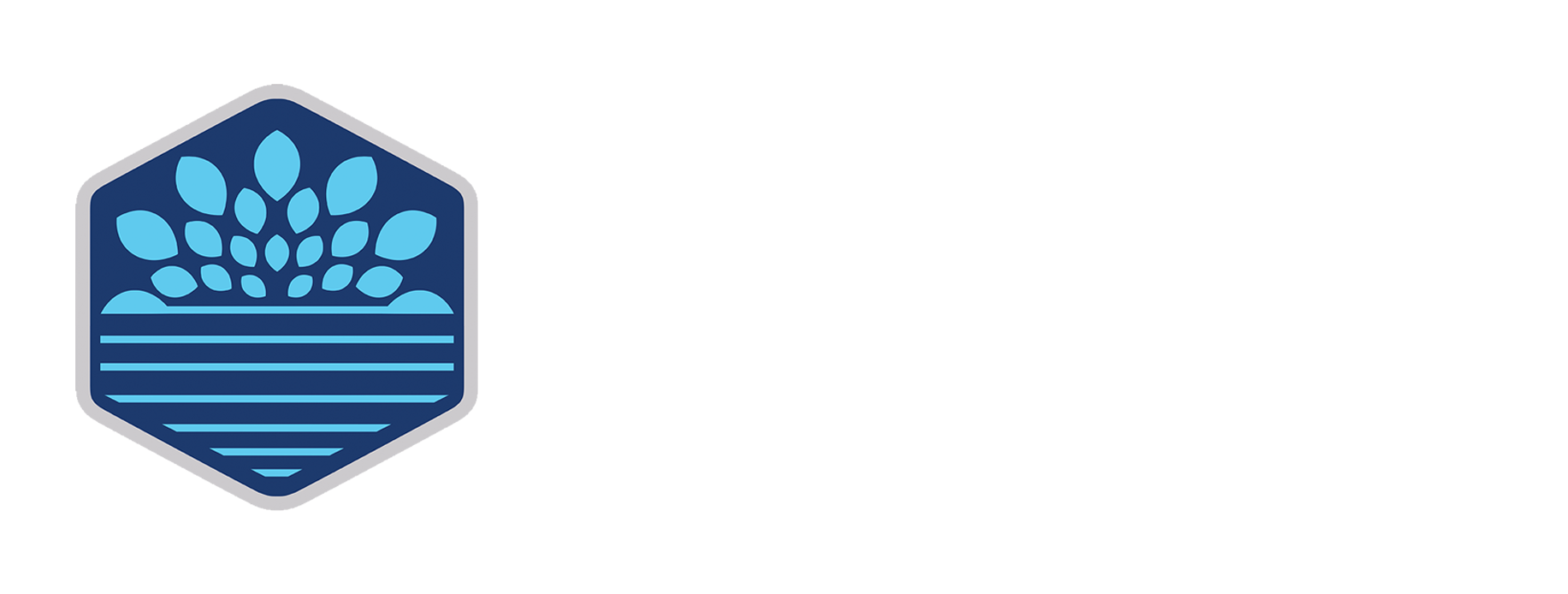 smart_health_jonas